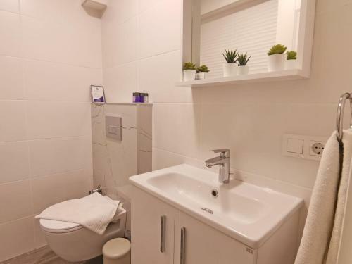 Apartamento Oxygen Suites By Villa Safiya