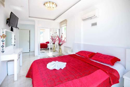 Unique Villa C