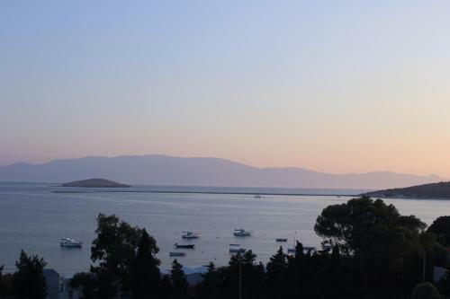 Hotel Monk Island Guesthouse