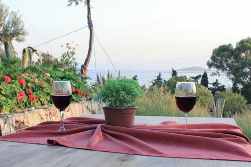 Hotel Monk Island Guesthouse