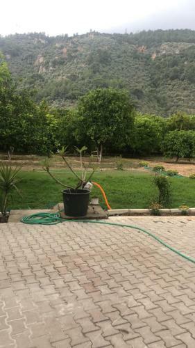 Apartamento G�kova Home?s