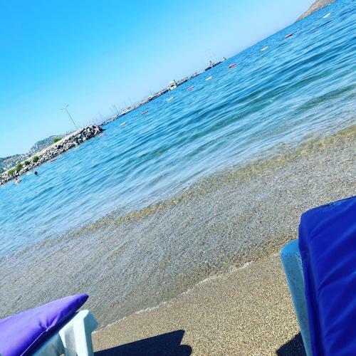 Hotel Sea Palm Otel Yal?kavak