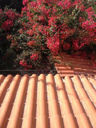 Apartamento Meliti Guesthouse