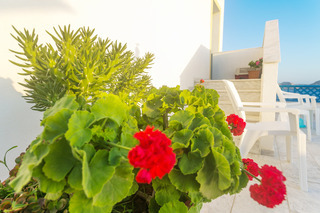 Aparthotel Arhontiko Hotel Apartments