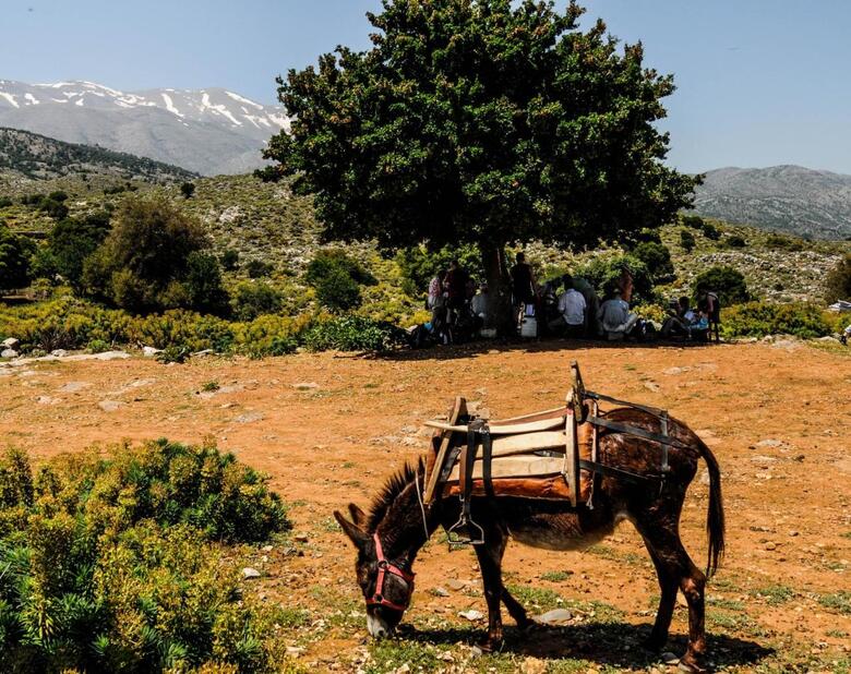 Apartamento Enagron Ecotourism Village