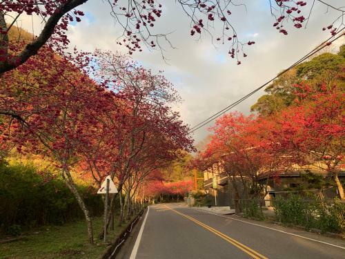 Breeze Hotspring Homestay