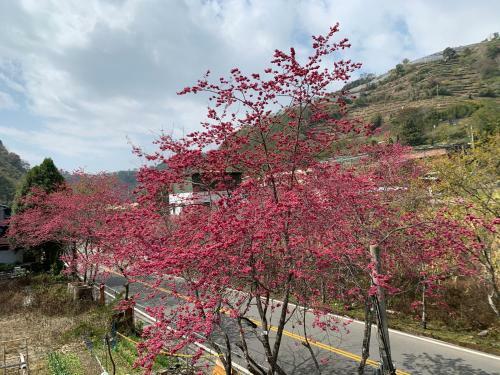 Breeze Hotspring Homestay