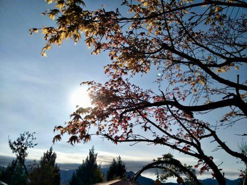 Hostal Hua Mu Xing Jing B&B