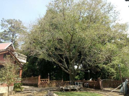 February Flower Food Homestay