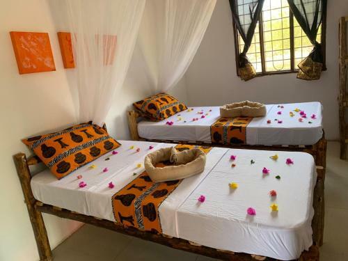 Hostal More Africa Guesthouse