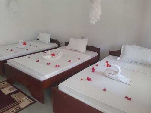 Hotel Vuai Bungalow