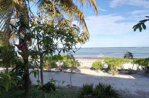 Marafiki Beach Hotel - Anza
