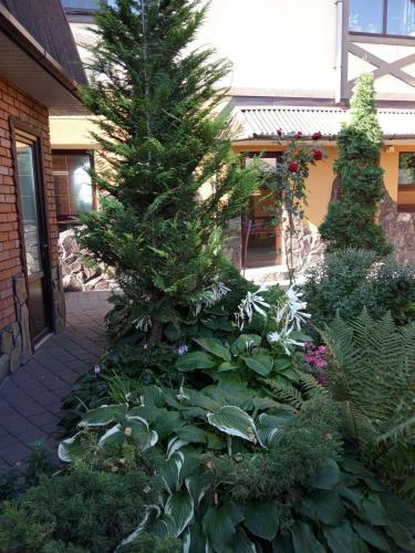 Albergue ?????? 24