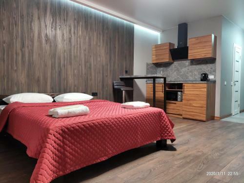 Solo Apartment Kamenskaya