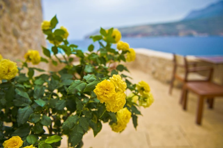 Hotel Pirgos Mavromichali