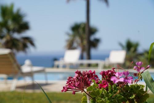 Apartamento Aneria Suites