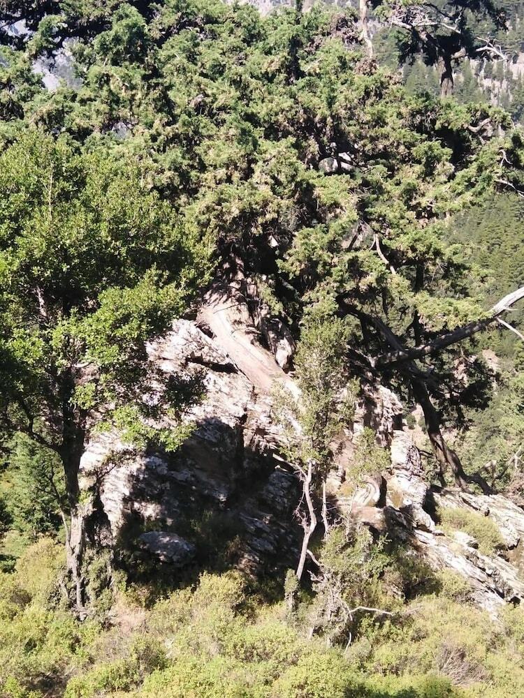 Apartamento Metohi Georgila