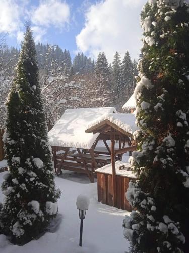 Hotel ?? ?????? ????????