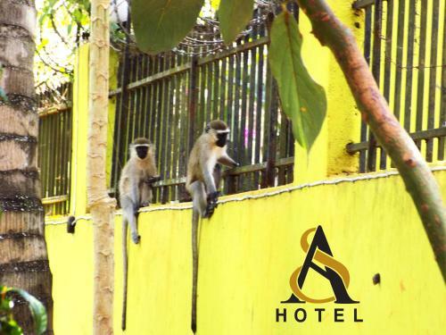 Hostal Afro Smile Hotel And Guest House