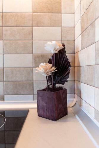 Apartamento Studios Diogenis