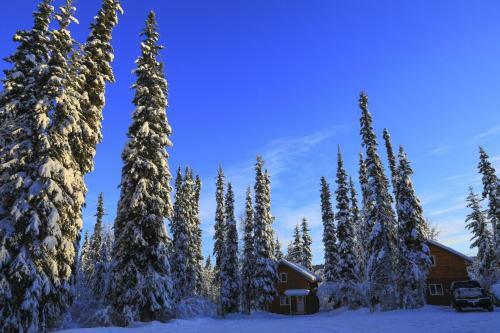 The Cabin In The Woods 2 ???? 2