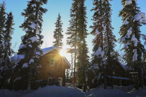 The Cabin In The Woods 2 ???? 2