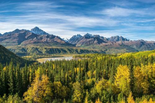 Pink Salmon - Kenai Kuik Cabins - Riverfront Dock Cabin
