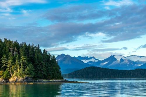 Pink Salmon - Kenai Kuik Cabins - Riverfront Dock Cabin