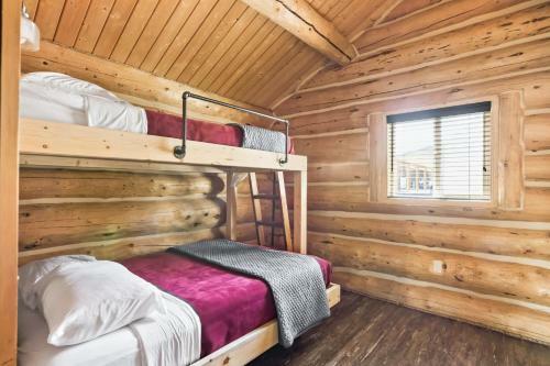 Sockeye Salmon - Kenai Kuik Cabins - River Access Cabin