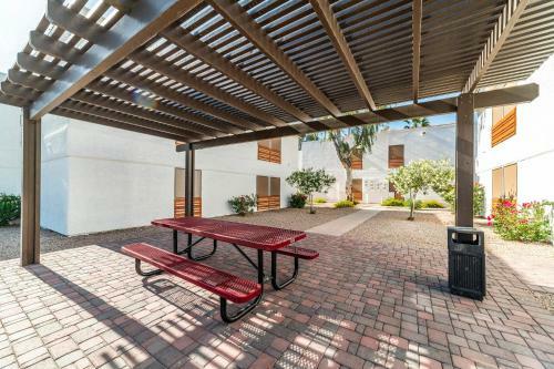 41b - Casa Grande Modern 1bd Condo Heated Pool