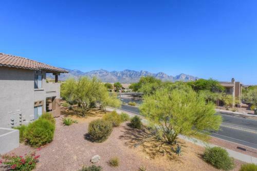 Catalina Mountain Vistas #216