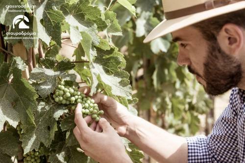 Crossroads Inn Traditional Lodging