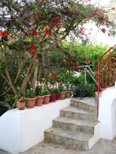 Apartamento Anna Studio