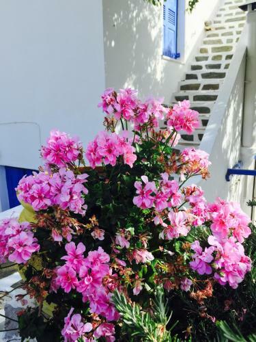Apartamento Pension Galini
