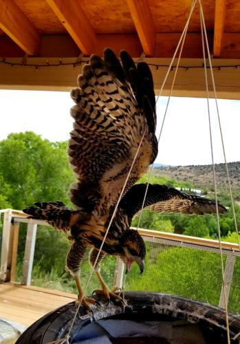 Cave, Yurt, Bubble And Other Glamping Adventures