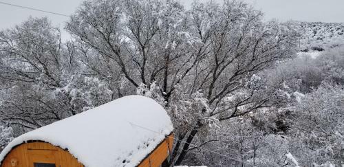 Cave, Yurt, Bubble And Other Glamping Adventures