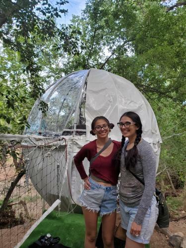 Cave, Yurt, Bubble And Other Glamping Adventures