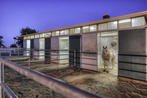 Luxurious Surprise Abode On A Citrus And Horse Ranch!
