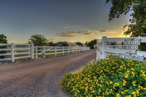 Luxurious Surprise Abode On A Citrus And Horse Ranch!