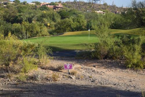 Deluxe Townhouse At Starr Pass Golf Resort!