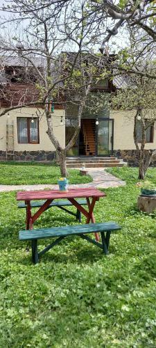 Hostal Ioska's House