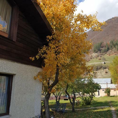 Hostal Ioska's House