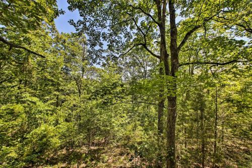 Secluded Studio With Deck, About 8 Miles To Beaver Lake!