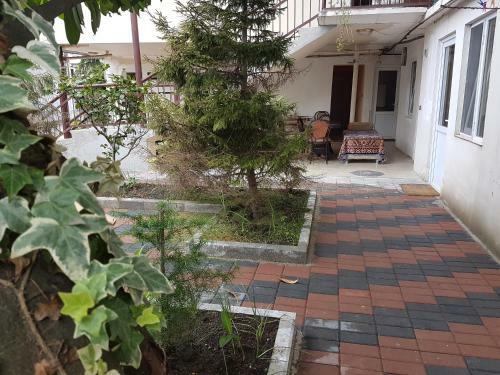 Hostal Guesthouse In Batumi