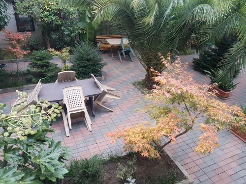 Hostal Guesthouse In Batumi