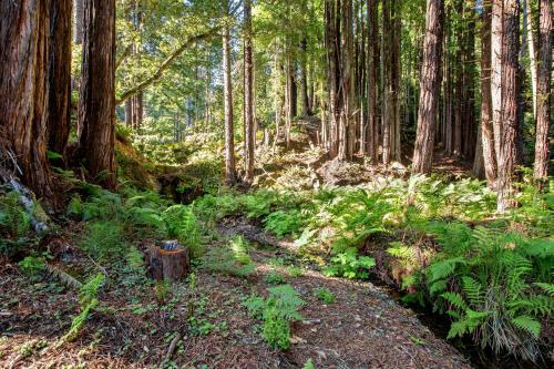 Havens Creek Suites