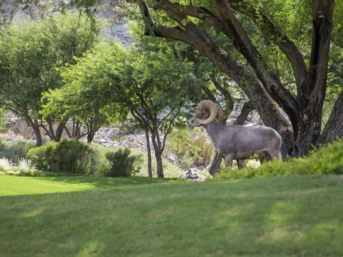 Mountain View Oasis At Pga West