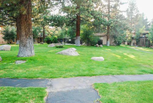 Villa De Los Pinos #35