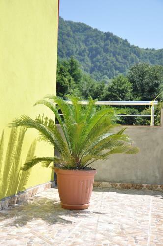 Hostal Akhmed Guest House