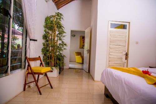 Hostal Hibiscus House Gambia